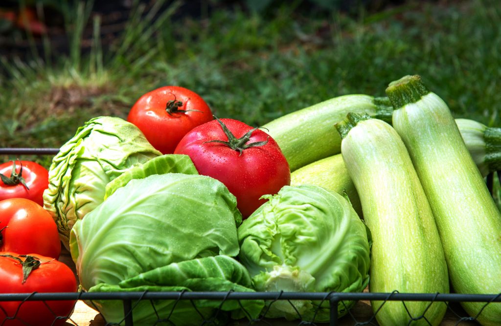 vegetales frescos en un entorno campestre