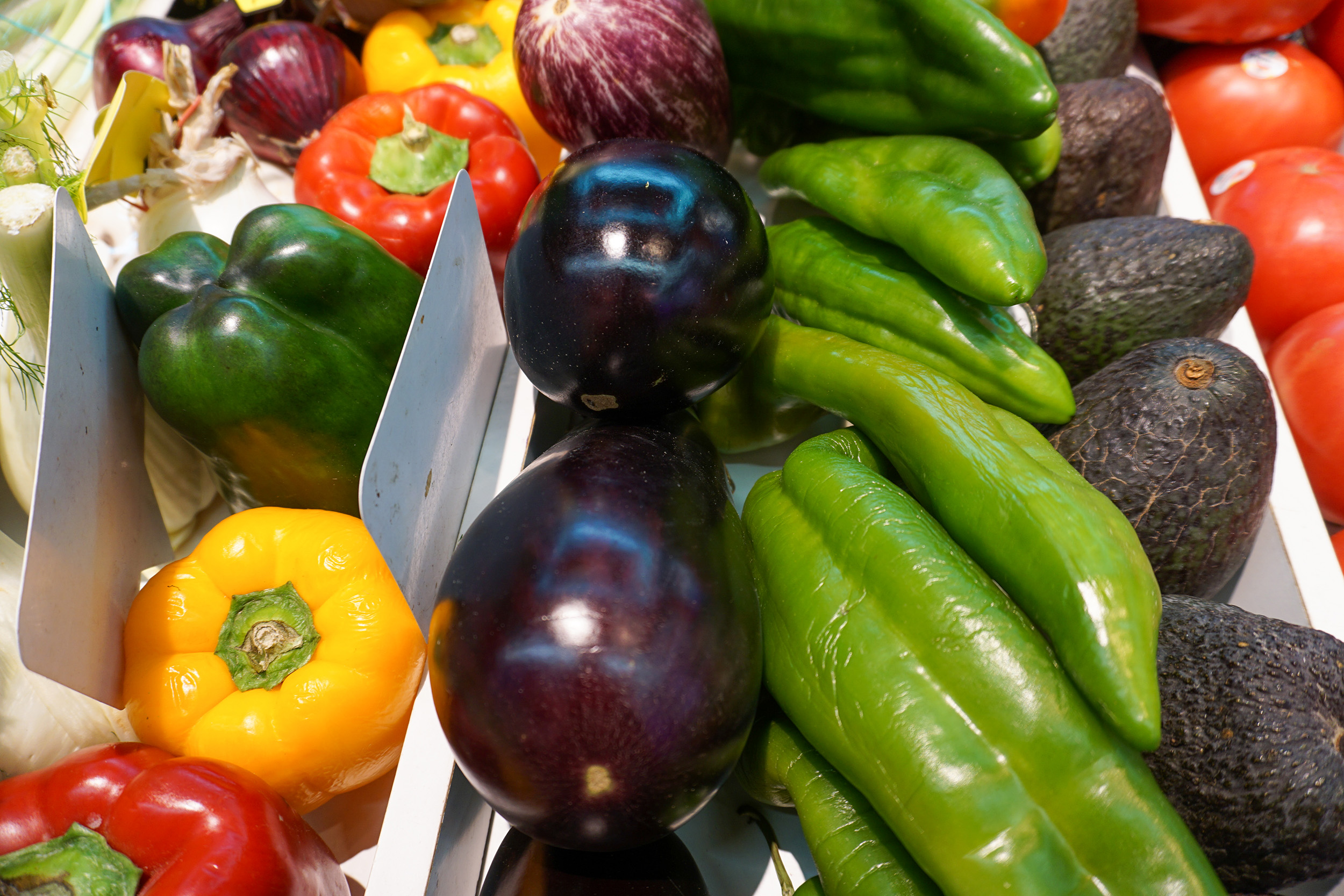 Variedad de verduras frescas